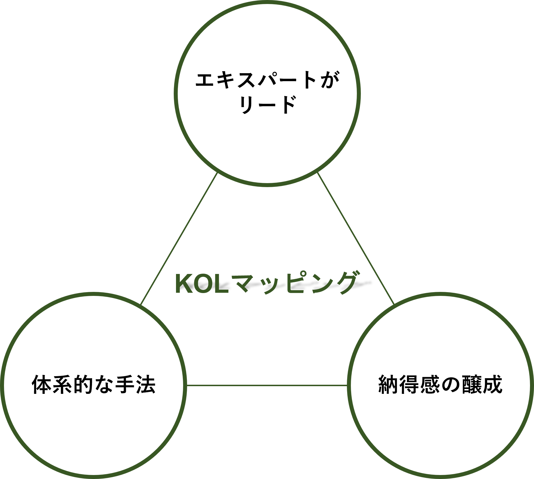 KN Consulting - KNC - こだわり - KOLマッピング